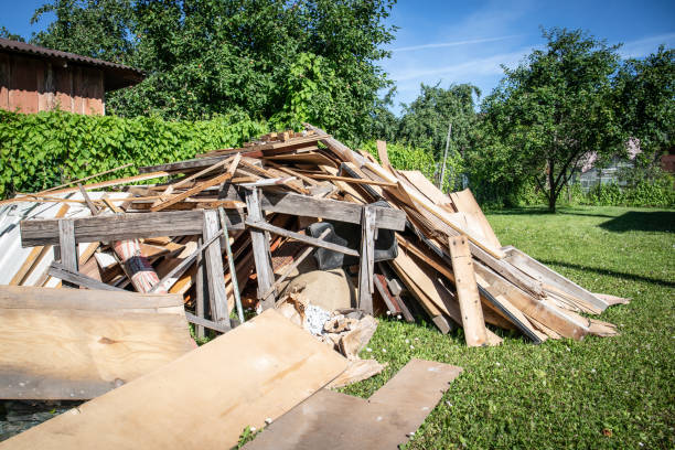 Best Basement Cleanout  in Sachse, TX
